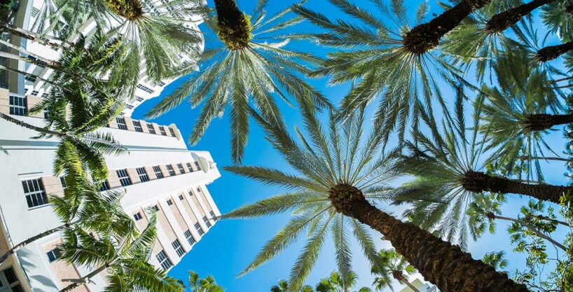 03 Years Payment Plan